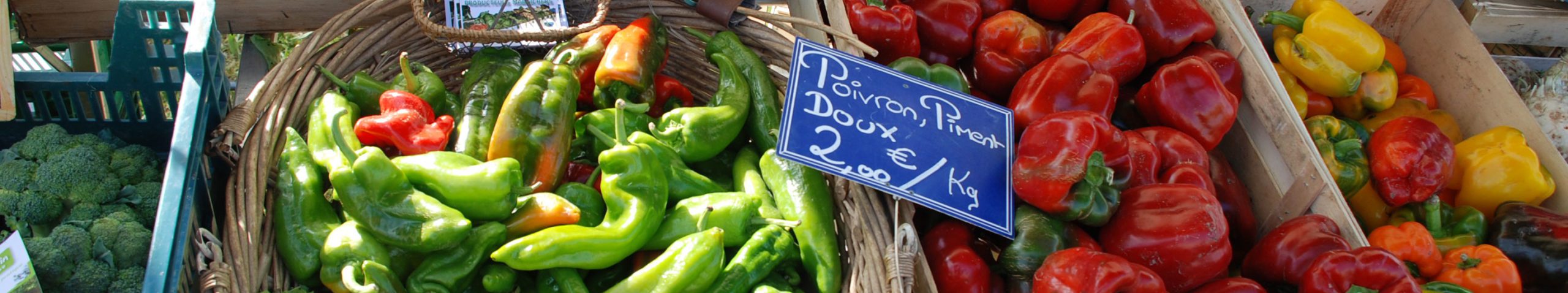 Développement économique dans le Marais poitevin - Étal de légumes