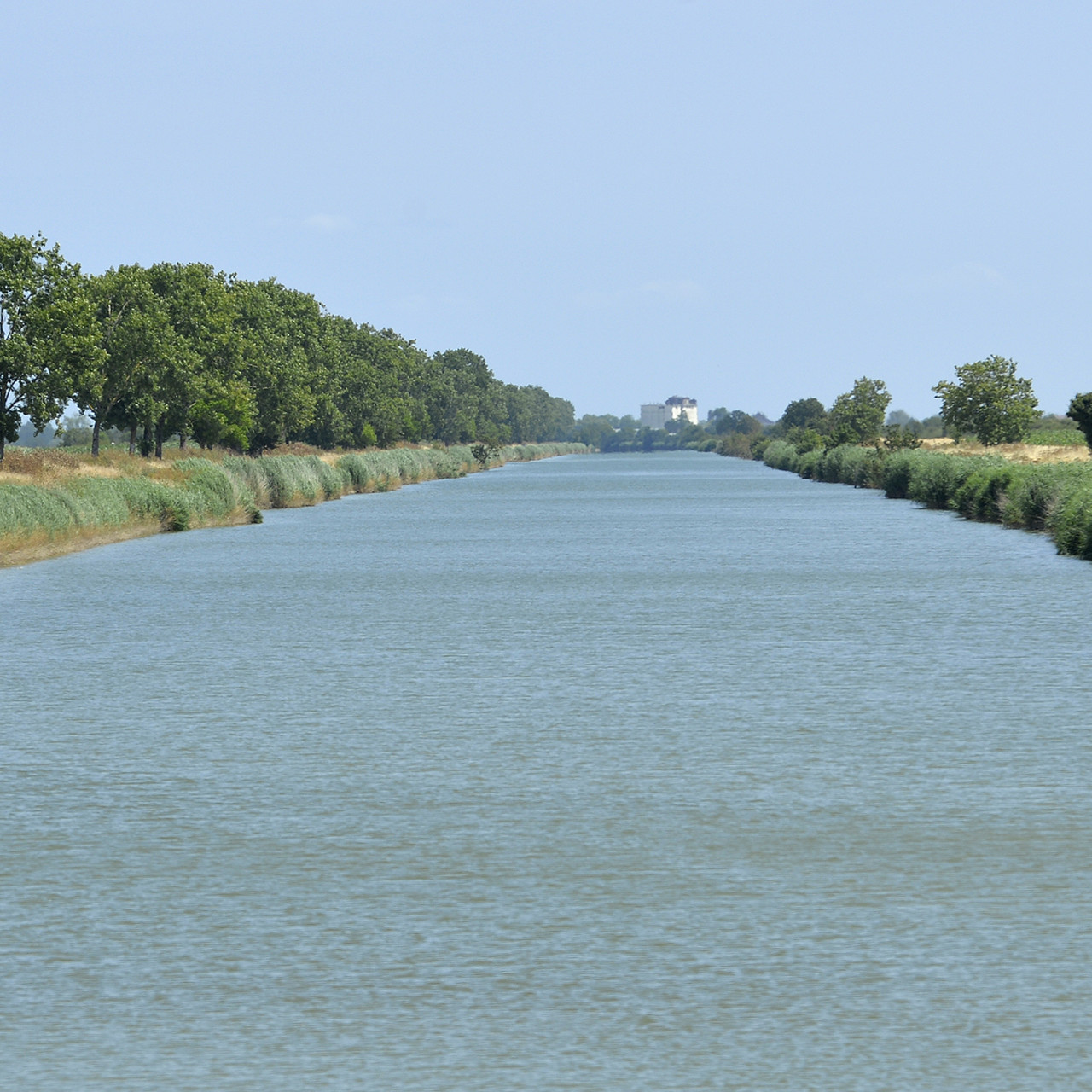 Un canal du marais desséché dans le Marais poitevin