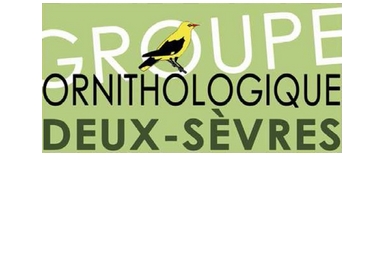 Logo du Groupe Ornithologique des Deux-Sèvres - GODS