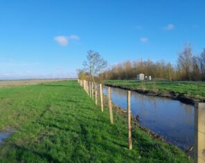 Remplacement des clôtures du communal (2024) @ PNR Marais poitevin