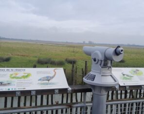 Sentier pédagogique et plateforme d'observation au sud du communal (2024) @ PNR Marais poitevin