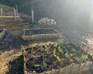 Mon jardin qui bourdonne - Coulon - 02 10 2024