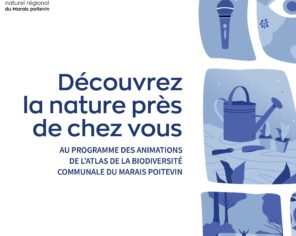 visuel générique animations ABC ateliers rencontres
