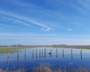 Baisse de l'Achenal en hiver (Décembre 2023) © Delphine Decoene, PNR Marais poitevin