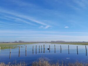 Baisse de l'Achenal en hiver (Décembre 2023) © Delphine Decoene, PNR Marais poitevin