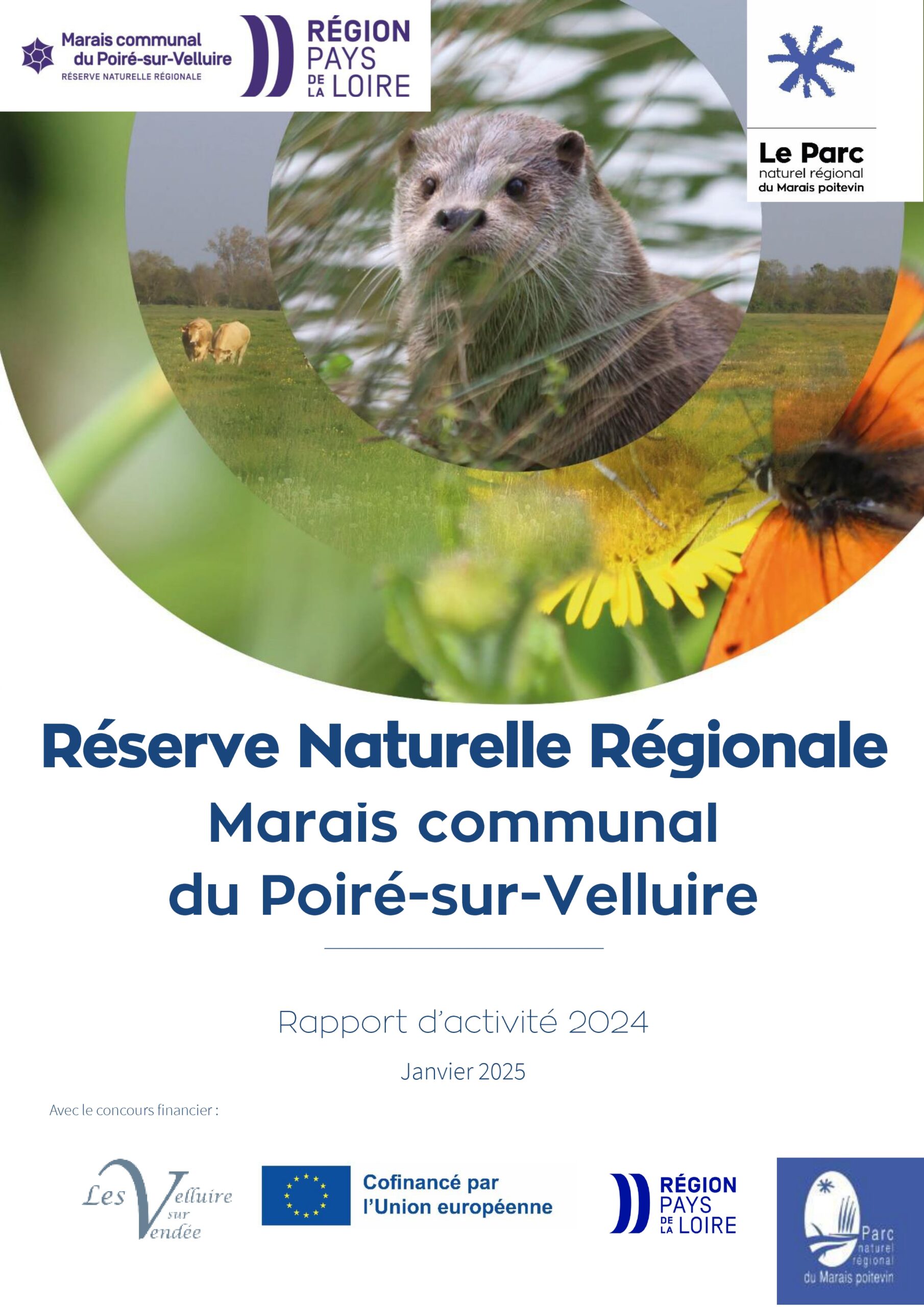 couverture_Rapport d'activités 2024 de la RNR du Marais communal du Poiré-sur-Velluire