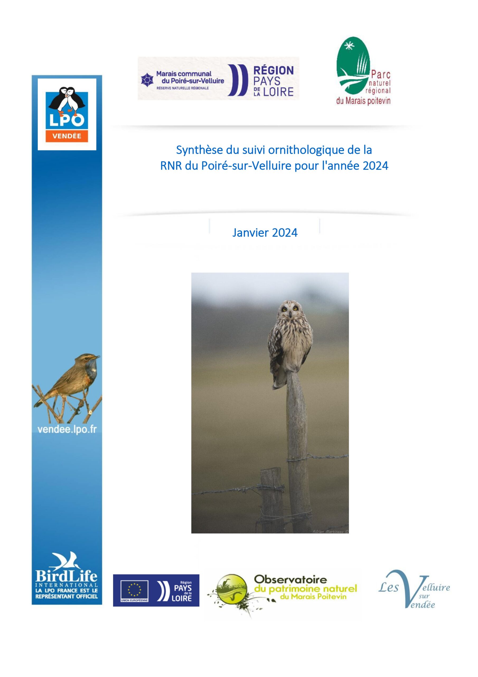 couverture_Rapport du suivi ornitho sur la RNR du Poiré-sur-Velluire - 2024