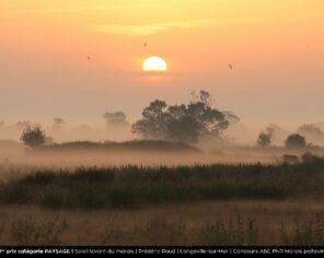 1er prix PAYSAGE - Soleil levant sur le marais - Frédéric Raud