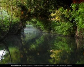 Paysage Bonus - Féerie du marais - Sandrine Octeau