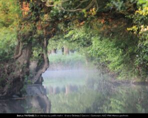 Paysage Bonus - Marais au petit matin - Bruno Octeau