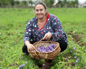 portrait d'Ingrid Billaud avec un panier rempli de fleurs de safran