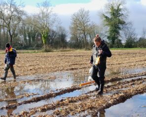 Formation à la manipulation de la sonde conductimétrique de Bordeaux INP