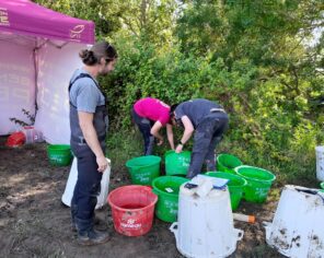 Pêche électrique sur le site du Vendié par la fédération de pêche 17