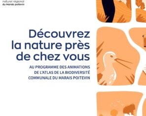 visuel générique animations ABC spectacles culture