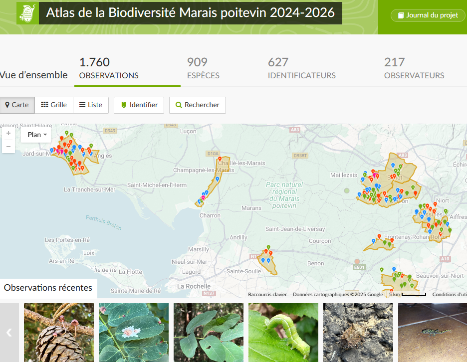 Capture inaturalist carte ABC