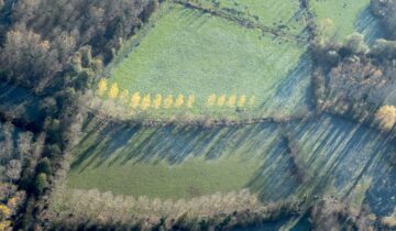 vue aérienne marais mouillés peupliers arbres tetards - crédit Marc Der Mikaëlian