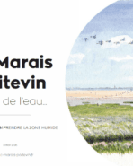 couverture de la brochure Le Marais poitevin au fil de l'eau - découvrir et comprendre le zone humide