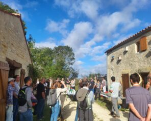 Visite 