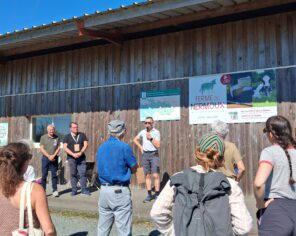 Visite 