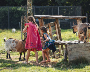 Enfants nourrissant les chèvres dans le parc ornithologique du Marais poitevin